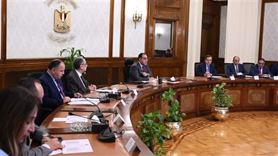 رئيس الوزراء يتابع جهود فض التشابكات المالية بين عدد من الجهات