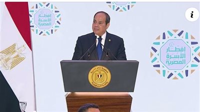  السيسي يوجه بسرعة الانتهاء من إنشاء وتطوير الموانئ البحرية والبرية والجافة