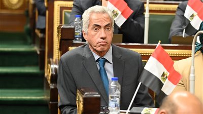 السنباطي: دعوة الرئيس لاستكمال الحوار الوطني تؤكد أن الدولة ماضية في طريقها نحو جمهورية البناء 