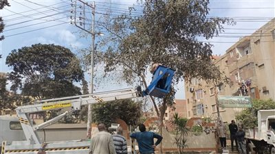 الغربية تتزين لاستقبال عيد الفطر المبارك 