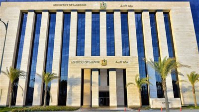 بشرى سارة.. زيادة عدد المستفيدين من منح العمالة غير المنتظمة إلى مليون في 2024