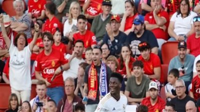 تفعيل بروتوكول مكافحة العنف في كرة القدم