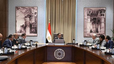 رئيس الوزراء يتابع موقف منظومة إنتاج وتوزيع الأسمدة الزراعية