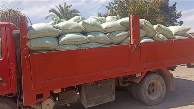 محافظ أسيوط يعلن بدء موسم توريد القمح لعام 2024