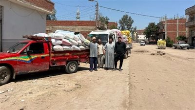 صوامع وشون الشرقية تفتح أبوابها لاستقبال 24093 طنا من الذهب الأصفر