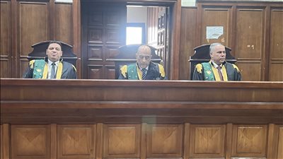 أموال الغاز.. حيثيات سجن مجدي راسخ وجنينه 10 سنوات وتغريمهما مليار جنيه