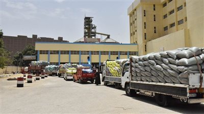محافظ أسيوط يعلن استقبال 5042 طن قمح بـ 28 شونة وصومعة منذ بدء موسم التوريد