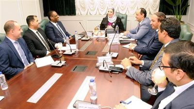 الأمم المتحدة: التجربة المصرية أصبحت 