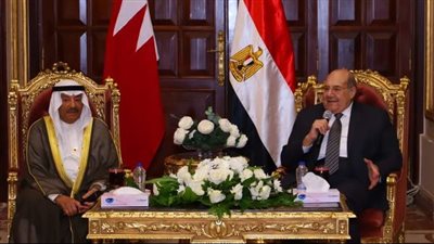 رئيس مجلس الشيوخ يشيد بالعلاقات المتميزة بين مصر و البحرين