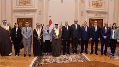 رئيس مجلس النواب يؤكد قوة ومتانة العلاقات التاريخية المصرية البحرينية