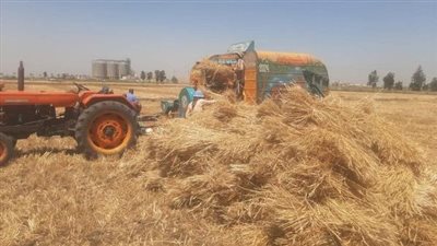 الزراعة تنظم يوم حصاد لحقول القمح المنزرعة بالأساليب الموفرة للمياه بالدقهلية