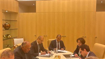 وزير الخارجية يلتقي نظيره الفرنسي لبحث تطورات الأوضاع في غزة