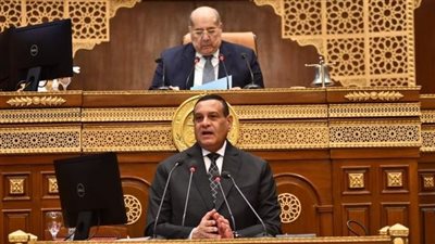 وزير التنمية المحلية : الرئيس السيسي يولي اهتماماً كبيراً بملف التصنيع الزراعي 
