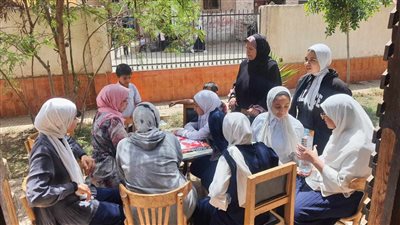 الهوية وتأثير الفن ونبذ التطرف في لقاءات توعوية لقصور الثقافة بالشرقية