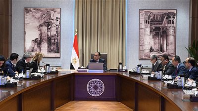 رئيس الوزراء يلتقي الرئيس التنفيذي لشركة 