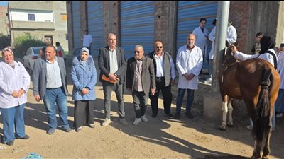 قافلة بيطرية علاجية من جامعة كفر الشيخ إلى قرية إبيانة