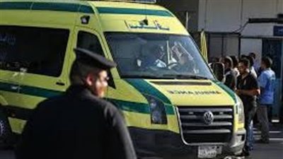 إحالة خليجي إلى المفتي.. قتل صديقه بالمنصورة وقطع عضوه الذكري وأكله