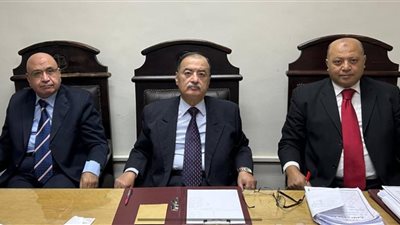 مشادة مرورية تنتهي بجريمة قتل والجنايات تسلط الضوء على الانفلات السلوكي