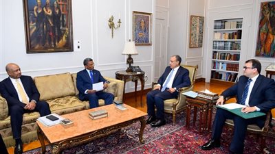 وزير الخارجية يبحث مع نظيره السيشيلي سبل تعزيز التعاون الثنائي والتنسيق الإقليمي