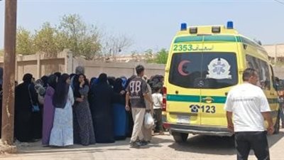 رحلة عمل لم تكتمل.. صعق كهربائي ينهي حياة عاملين أعلى عمود كهرباء بالشرقية