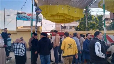 محافظ الدقهلية يشيد باقبال الناخبين على لجان التصويت للإدلاء بأصواتهم