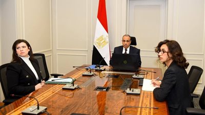وزير الخارجية يلتقي افتراضياً الجاليات المصرية في كمبوديا وسنغافورا وتايلاند لتعزيز التواصل والخدمات القنصلية