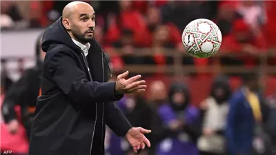 وليد الركراكي مدرب المغرب: مواجهة الكاميرون صعبة.. ولن نغير من طريقة لعبنا
