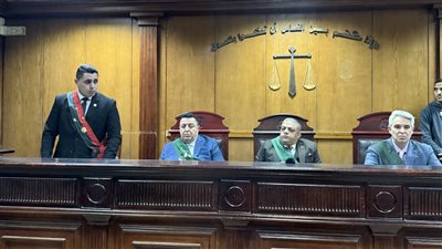 المؤبد لـ جزار.. أنهى حياة شقيقة بسبب خلافات على الميراث