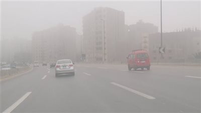 احذر الشبورة بتلك المناطق.. تعرف على حالة الطقس اليوم الأربعاء 24/12/2025