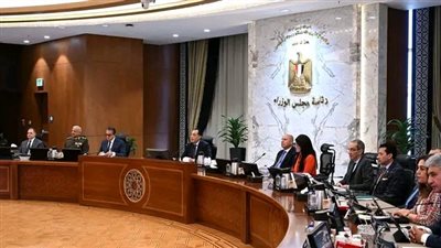 مدبولي:  المبادرة الرئاسية 