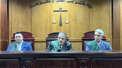 خلافات الميراث تنتهي بالدم.. الإعدام والمؤبد لابنَي عم بالبدرشين