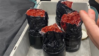 جمارك مطار القاهرة تتصدي لهجمات المهربين بضبط ١١ كيلو ونصف مواد مخدرة 