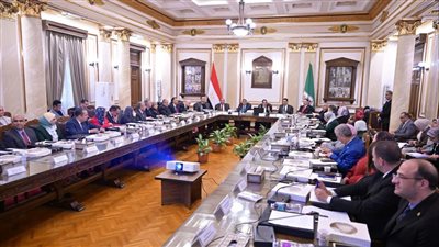 بحضور محافظ الجيزة.. مجلس جامعة القاهرة يقر حزمة قرارات استراتيجية 