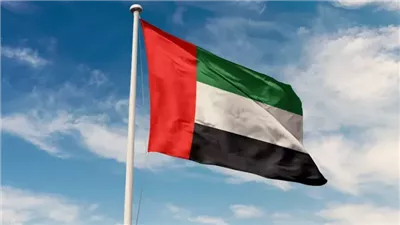 الإمارات تعرب عن آسفها للأحداث الجارية في اليمن