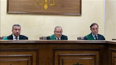 المؤبد لـ3 متهمين في مقتل خفير أثناء سرقة موقع محطة كهرباء المنصورية.. والمحكمة تكشف تفاصيل الجريمة