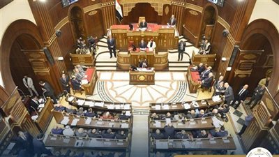 برلماني: الاعتداء على سيدة مسنّة جرس إنذار للأوضاع الاجتماعية لكبار السن