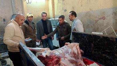 ضبط سلخانة مخالفة وربع طن لحوم مذبوحة خارج المجازر في منوف