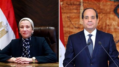 الرئيس السيسي يدعم ياسمين فؤاد في مهمتها الأممية بملف مكافحة التصحر والجفاف