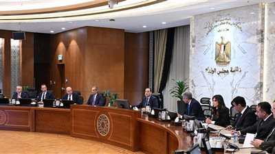 رئيس الوزراء يتابع جهود الحكومة لتيسير دخول السياح وتحسين التجربة السياحية في مصر
