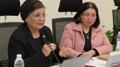 عاما التحدي 2026-2027.. ملامح الاستراتيجية الوطنية للسكان والتنمية