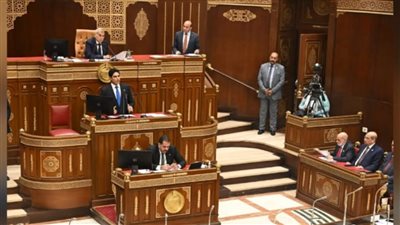 بحضور وزير المالية.. مجلس الشيوخ يحسم تعديلات قانون الضريبة على العقارات المبنية