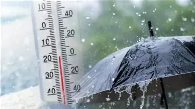 الأرصاد تحذر من المرتفع السيبيري.. تفاصيل حالة الطقس اليوم الثلاثاء