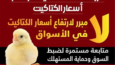 الزراعة: لا مبرر لارتفاع أسعار الكتاكيت في الأسواق خلال الفترة الحالية