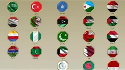 مصر و21 دولة تدين زيارة مسؤول إسرائيلي لأراضٍ صومالية وتؤكد: انتهاك صارخ للسيادة