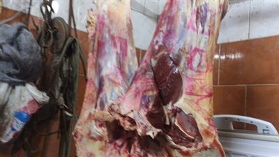 لضمان سلامة اللحوم وحماية المواطنين.. الخدمات البيطرية تعلن حالة الاستنفار