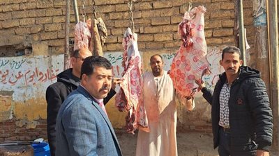 ضبط 252 كجم لحوم غير صالحة ولحوم مذبوحة خارج المجازر بالمنيا 