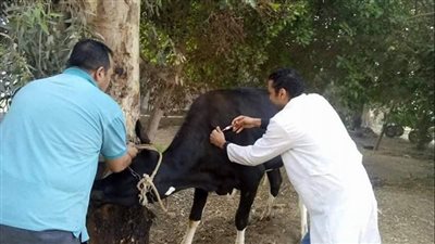 وزير الزراعة: 35 مليون جرعة تحصين لحماية الثروة الحيوانية ودعم المربين