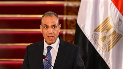 وزير الخارجية يستقبل نظيرته الإيرلندية في القاهرة لبحث تعزيز الاستثمارات المشتركة وقضايا الشرق الأوسط