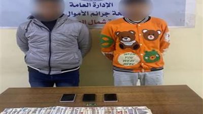 القبض على شخصين انتحلا صفة خدمة عملاء للنصب على المواطنين