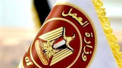 وظائف وزارة العمل 2026: فرص برواتب تصل لـ 20 ألف جنيه في بورسعيد (رابط التقديم)
